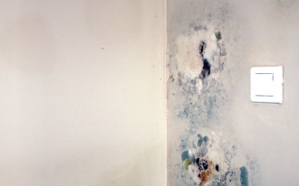 Eliminowanie pleśni i wilgoci