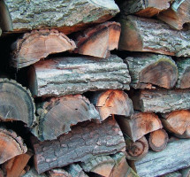 Drewno opałowe nadaje się do niemal wszystkich urządzeń grzewczych, ale – choćby ze względu na cenę – najbardziej poszukiwane jest do kotłów zgazowujących i kominków. fot. THERMOSTAHL POLAND