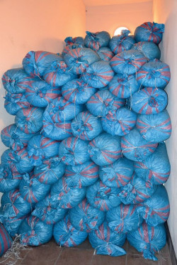 W kotłowni lub w przyległym pomieszczeniu powinno się znaleźć miejsce na przechowywanie rozsądnego zapasu opału. Znacznie praktyczniejsze jest paliwo w workach, bo dużo łatwiej o utrzymanie kotłowni w czystości. fot. L. JAMPOLSKA