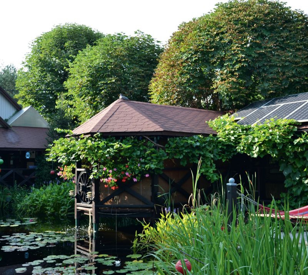 Nad stawem i z basenem