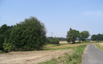 Służebność drogi koniecznej