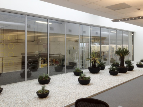 Okna DRUTEX w największej fabryce klocków na świecie i kopalni złota w Meksyku!