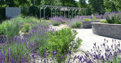 Ogród z toskańskim klimatem