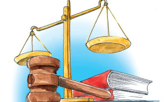 Zgodnie z prawem - Wycinka drzew i krzewów