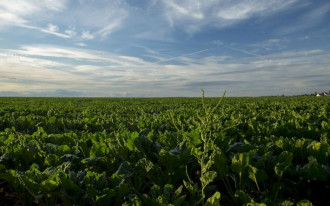 Czy mogę wystąpić z wnioskiem o warunki zabudowy, jeśli nie znam parametrów domu?
