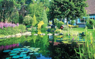 Czy na oczyszczenie terenu z roślin pod budowę stawu potrzebne jest pozwolenie?