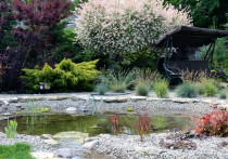 Reportaż ogrodowy - W kamiennym kręgu