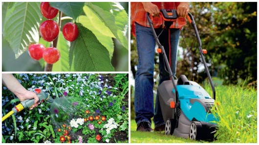 Czereśnie prosto z drzewa na początek lata i ulubione kwiaty w ogrodzie (fot. Hoselock) i – to także plusy domu. niestety własny trawnik (fot. Gardena) to częściej koszenie, niż wylegiwanie się na kocyku.