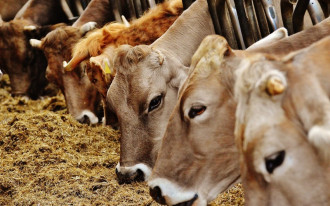 Wznowienie postępowania administracyjnego, kiedy organ nie uznał nas za stronę