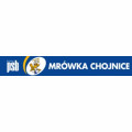 Mrówka Chojnice