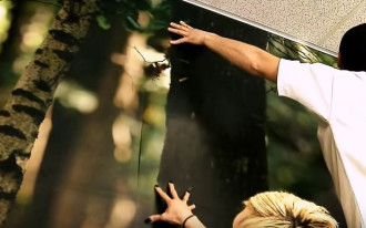 Naklejanie Fototapety - film instruktażowy