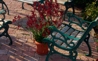 5 sposobów na... taras