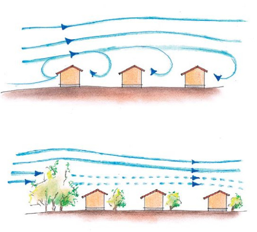 Kępa drzew jest skuteczną ochroną przed wiatrem. Jeśli osłabimy jego działanie temperatura w pobliżu budynków wzrośnie.