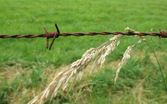 Jak wygląda procedura kupna nieruchomości od komornika?