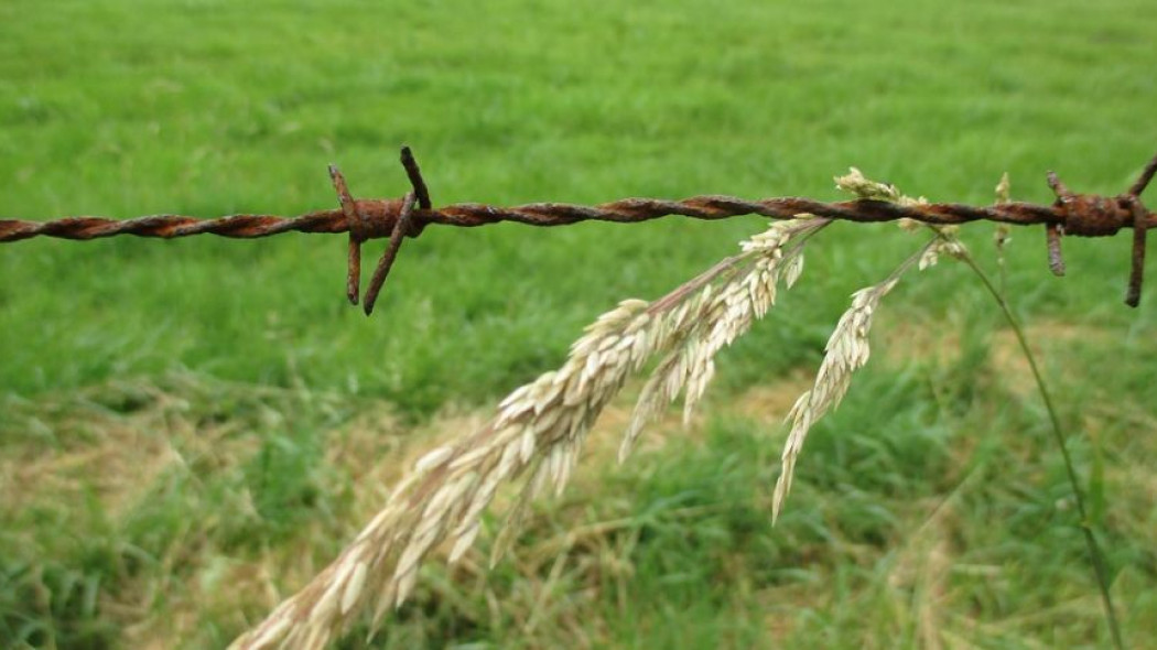 Jak wygląda procedura kupna nieruchomości od komornika?