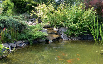 Oczko z kaskadą i zadaszony taras