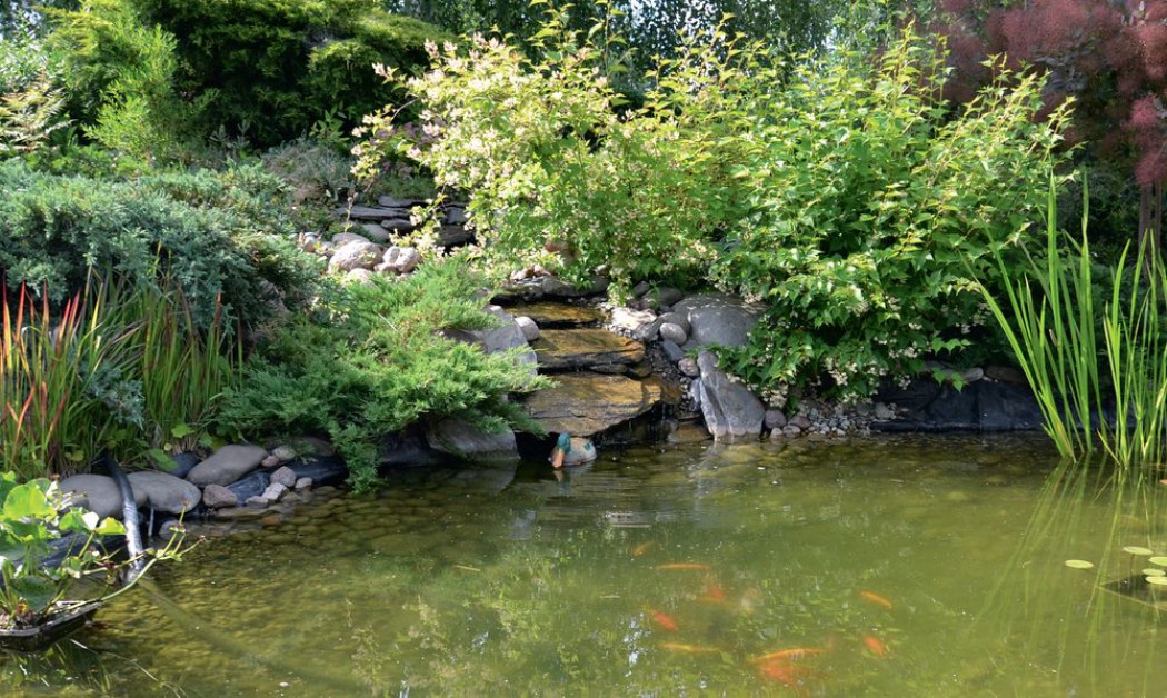 Oczko z kaskadą i zadaszony taras
