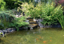 Oczko z kaskadą i zadaszony taras