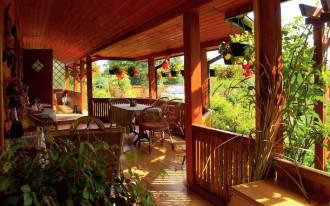 Jakie drewno na taras?