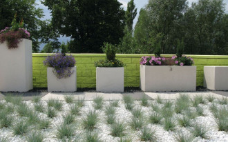 Jak wyeksponować rośliny w ogrodzie?