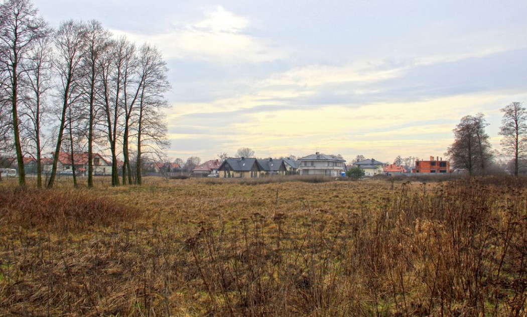 Dylematy inwestora - Zanim ruszy budowa