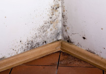 Wilgoć w domu