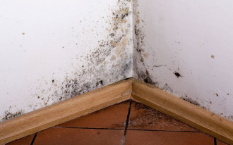 Wilgoć w domu