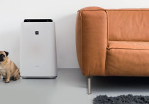 Czyste i zdrowe powietrze