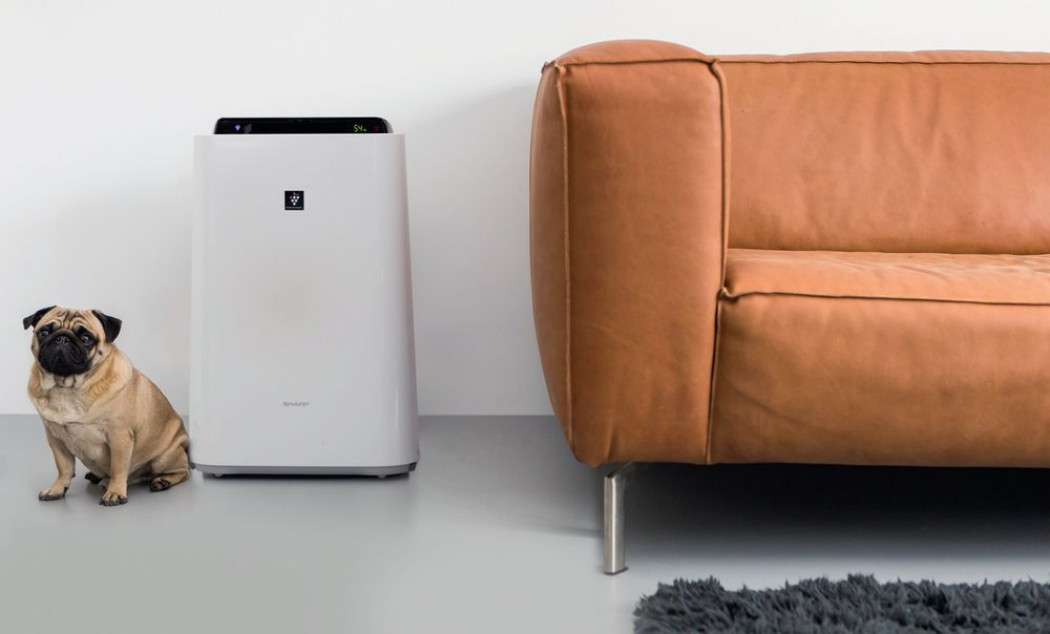 Czyste i zdrowe powietrze