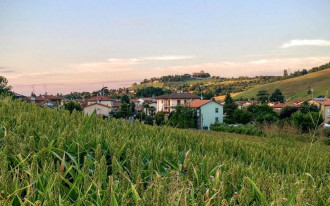 Czy mogę otrzymać inne warunki zabudowy (WZ) niż ma sąsiad?