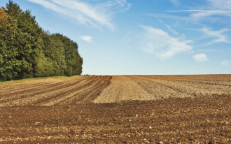 Czy mogę uzyskać warunki zabudowy dla gruntu rolnego?