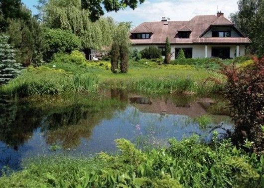 Staw przed budynkiem