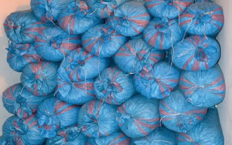 Jak przechowywać węgiel kamienny?