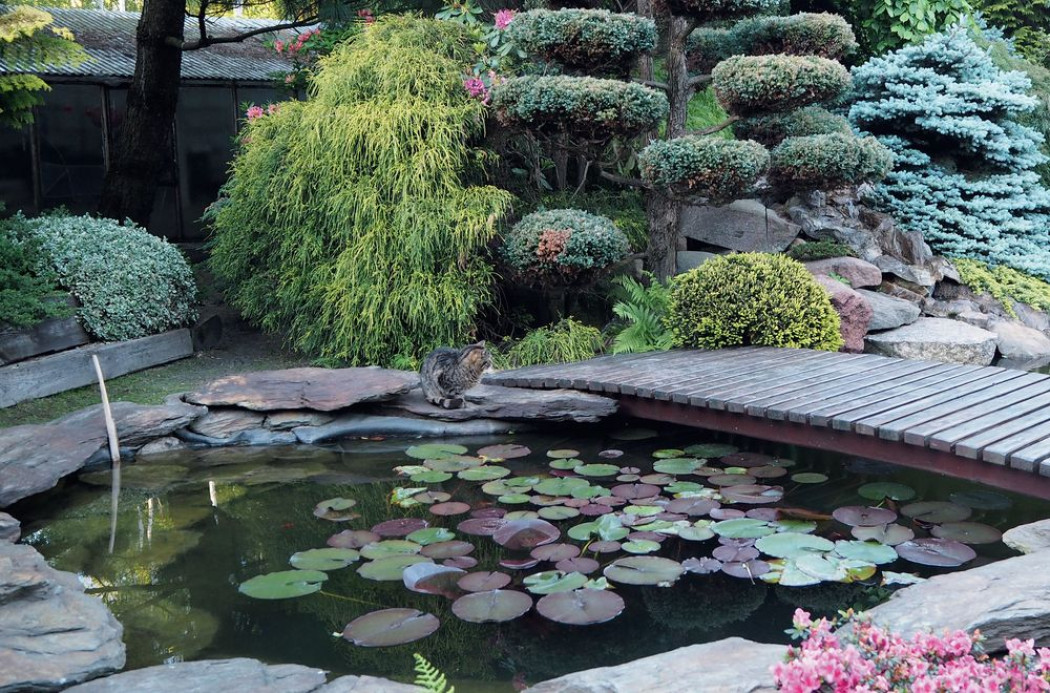 Wzorowany na ogrodach japońskich