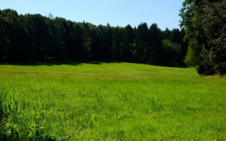 Czy będę mogła wybudować dom na działce w pobliżu lasu?