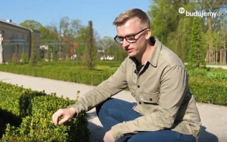 Żywopłot z bukszpanu - rady królewskiego ogrodnika!
