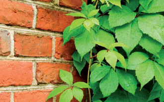 Jak zapobiec powstawaniu wykwitów solnych na ścianach?