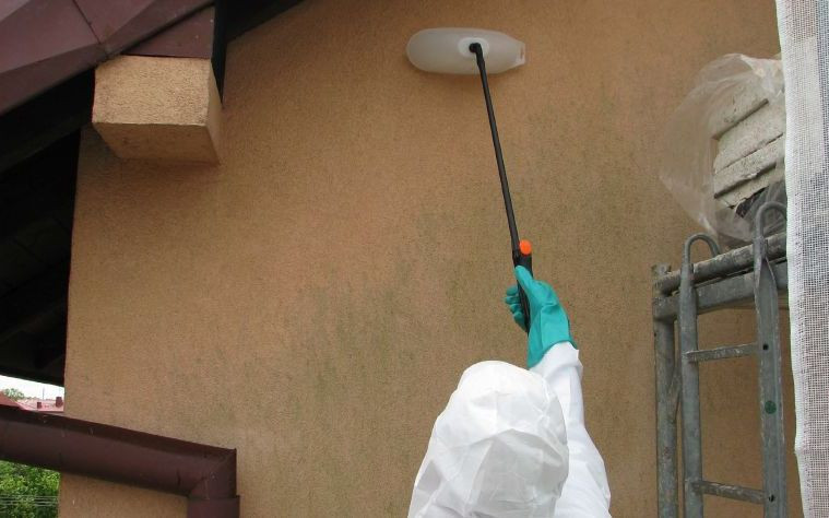 Naniesienie na wyschniętą ścianę preparatu niszczącego glony i grzyby.
