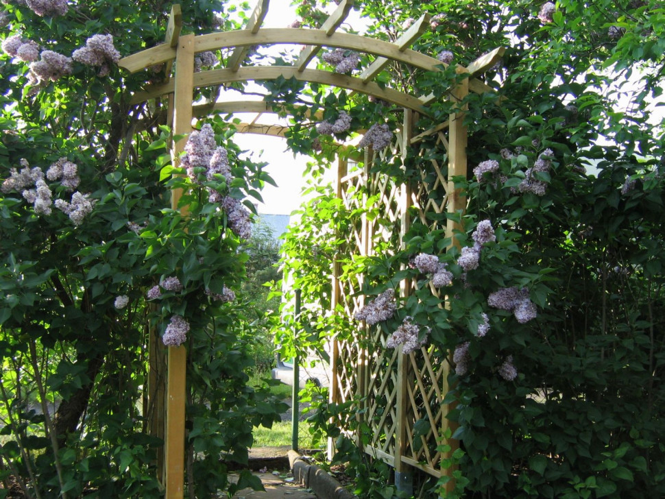 Drewniana pergola