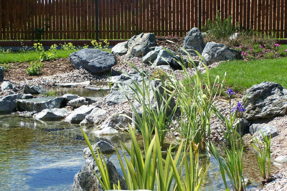 Oczko wodne obłożone kamieniami