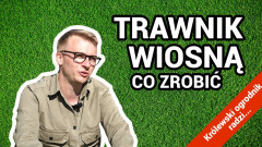 Jak dbać o trawnik po zimie?