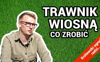 Jak dbać o trawnik po zimie?