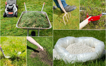 Pielęgnacja trawnika wiosną w 6 krokach