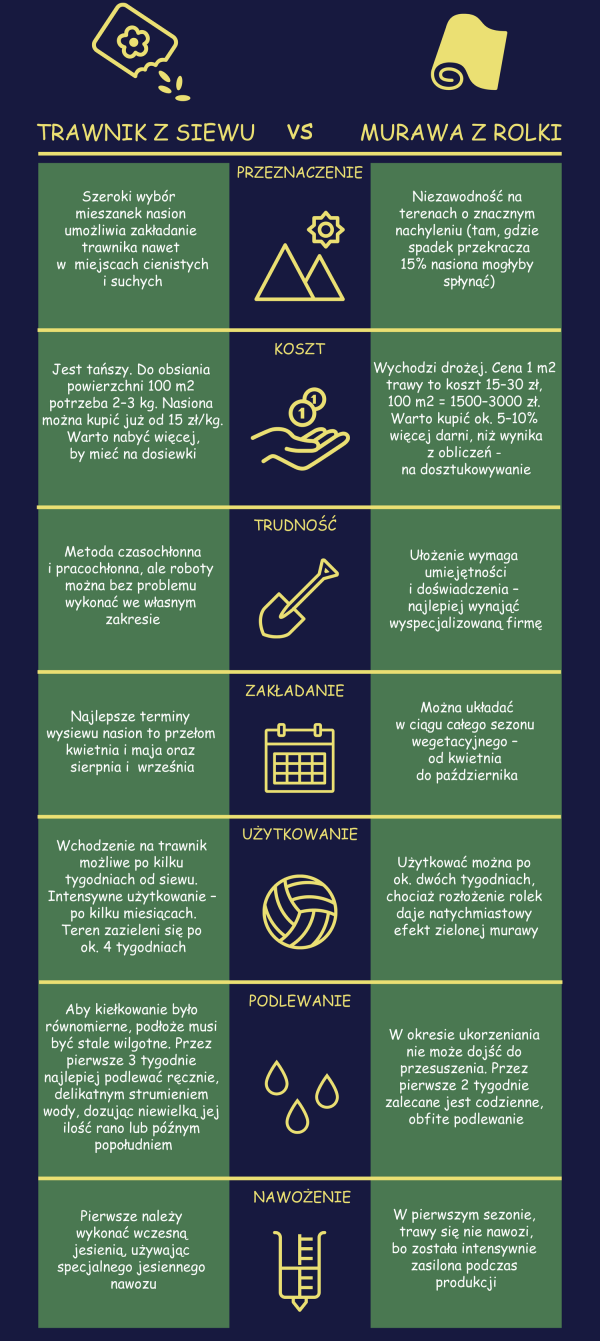 Infografika: Trawnik z siewu vs murawa z rolki