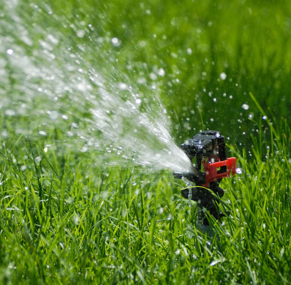 Pod nieobecność domowników instalacja inteligentna zadba o podlewanie ogrodu