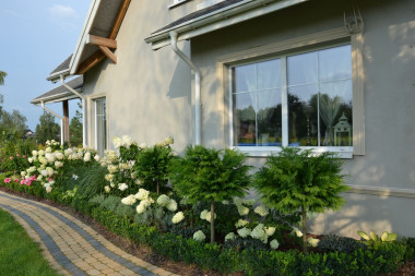 Wokół okien przyklejono szerokie obramowania