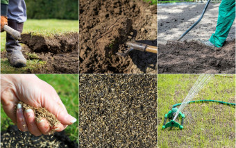 Zakładanie trawnika w 6 krokach