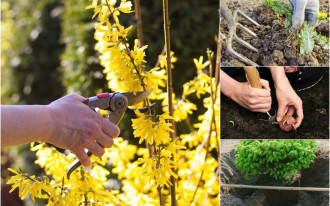 Kwiecień w ogrodzie - lista najważniejszych prac