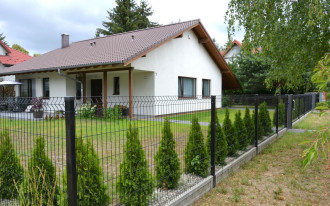 Plaga dzików była powodem postawienia ogrodzenia