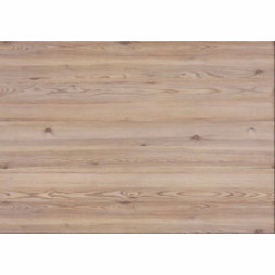 Panele podłogowe Pinia alpejska